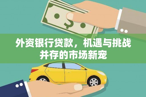 江海外资银行贷款，机遇与挑战并存的市场新宠