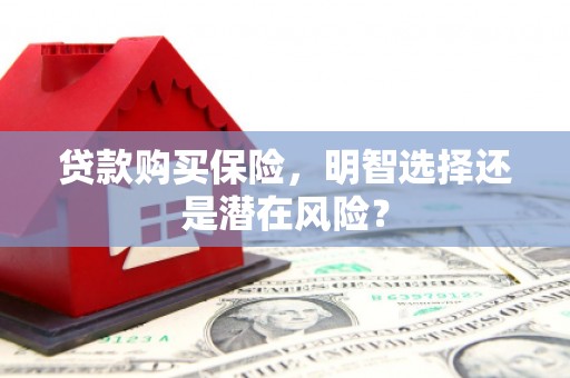 江海贷款购买保险，明智选择还是潜在风险？