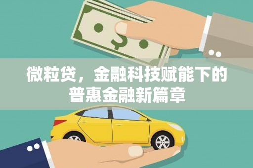 江海微粒贷，金融科技赋能下的普惠金融新篇章