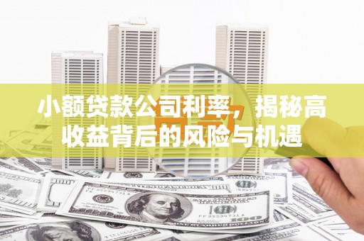 江海小额贷款公司利率，揭秘高收益背后的风险与机遇