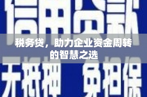 江海税务贷，助力企业资金周转的智慧之选