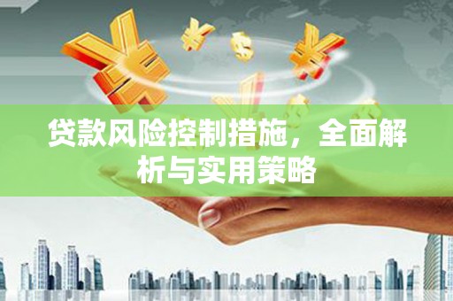 江海贷款风险控制措施，全面解析与实用策略