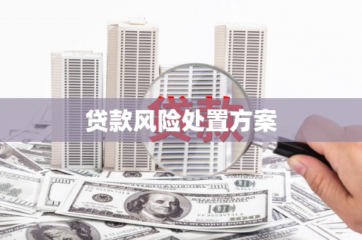 江海贷款风险处置方案