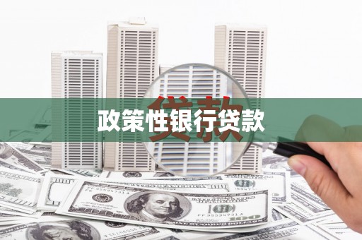 江海政策性银行贷款