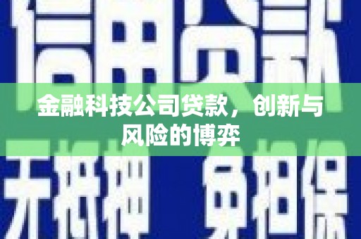 江海金融科技公司贷款，创新与风险的博弈