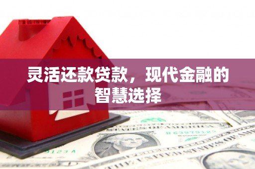 江海灵活还款贷款，现代金融的智慧选择