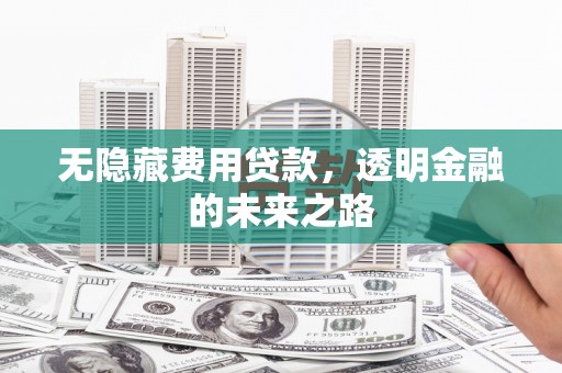 江海无隐藏费用贷款，透明金融的未来之路