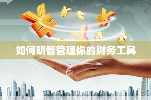 江海如何明智管理你的财务工具