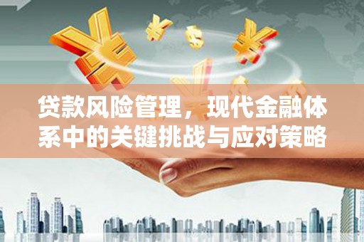 江海贷款风险管理，现代金融体系中的关键挑战与应对策略