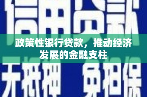 江海政策性银行贷款，推动经济发展的金融支柱