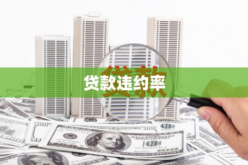 江海贷款违约率