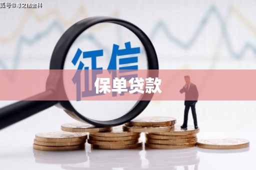 江海保单贷款