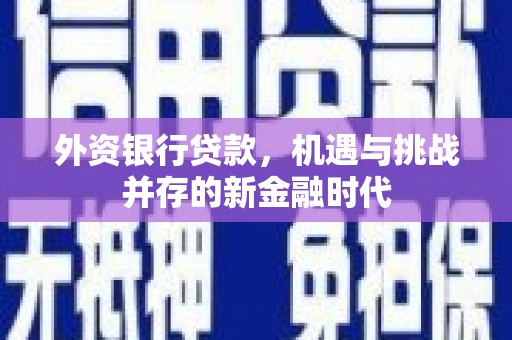 江海外资银行贷款，机遇与挑战并存的新金融时代