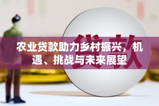 江海农业贷款助力乡村振兴，机遇、挑战与未来展望
