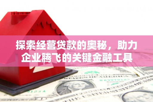 江海探索经营贷款的奥秘，助力企业腾飞的关键金融工具