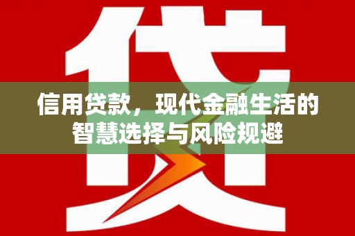 江海信用贷款，现代金融生活的智慧选择与风险规避