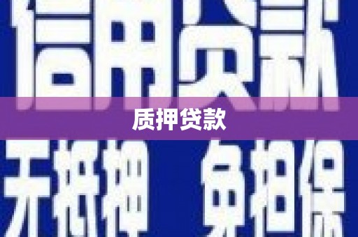 江海质押贷款