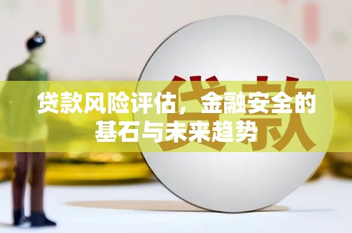 江海贷款风险评估，金融安全的基石与未来趋势