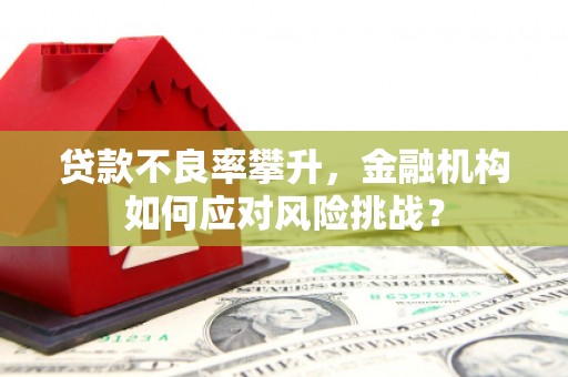 江海贷款不良率攀升，金融机构如何应对风险挑战？