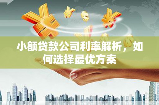 江海小额贷款公司利率解析，如何选择最优方案