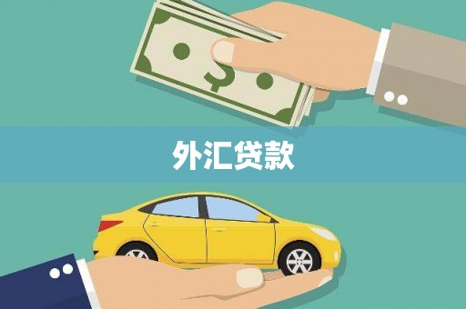 江海外汇贷款