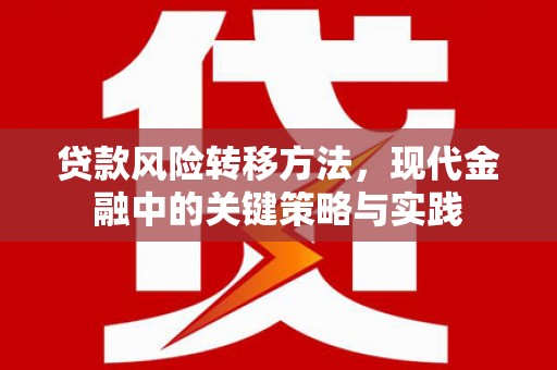江海贷款风险转移方法，现代金融中的关键策略与实践
