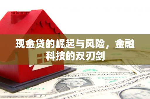 江海现金贷的崛起与风险，金融科技的双刃剑