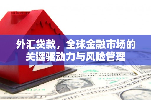 江海外汇贷款，全球金融市场的关键驱动力与风险管理