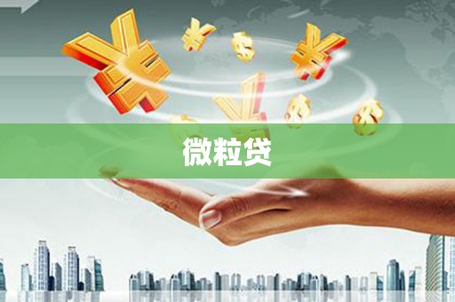 江海微粒贷
