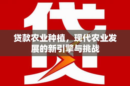 江海贷款农业种植，现代农业发展的新引擎与挑战