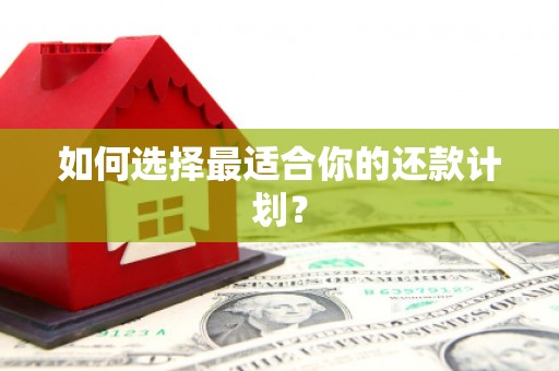 江海如何选择最适合你的还款计划？