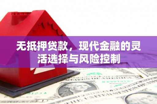 江海无抵押贷款，现代金融的灵活选择与风险控制