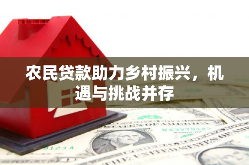 江海农民贷款助力乡村振兴，机遇与挑战并存