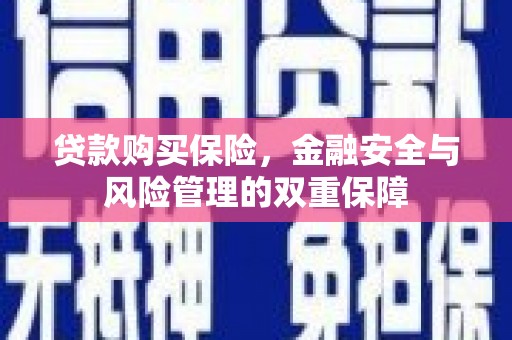 江海贷款购买保险，金融安全与风险管理的双重保障