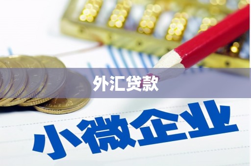 江海外汇贷款