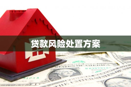 江海贷款风险处置方案