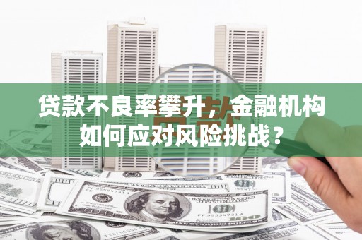 江海贷款不良率攀升，金融机构如何应对风险挑战？