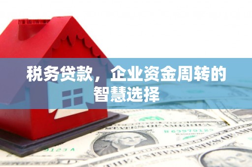 江海税务贷款，企业资金周转的智慧选择