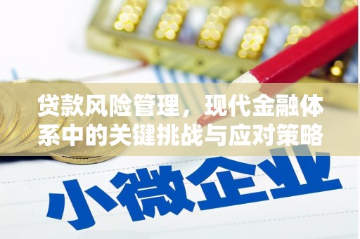 江海贷款风险管理，现代金融体系中的关键挑战与应对策略