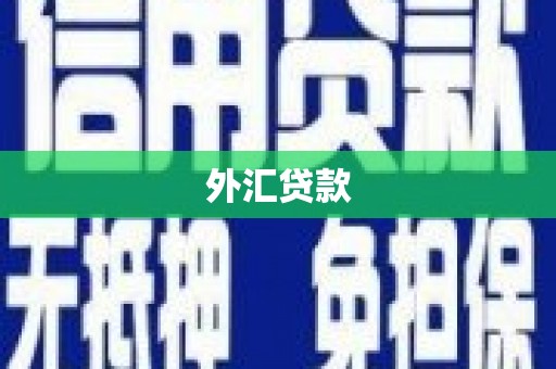 江海外汇贷款