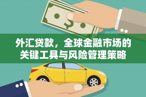 江海外汇贷款，全球金融市场的关键工具与风险管理策略