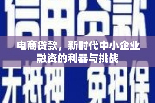 江海电商贷款，新时代中小企业融资的利器与挑战