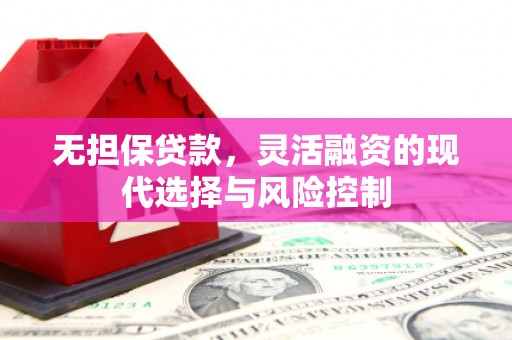 江海无担保贷款，灵活融资的现代选择与风险控制