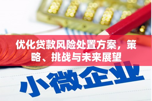 江海优化贷款风险处置方案，策略、挑战与未来展望