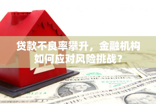 江海贷款不良率攀升，金融机构如何应对风险挑战？