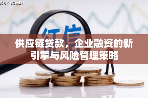 江海供应链贷款，企业融资的新引擎与风险管理策略