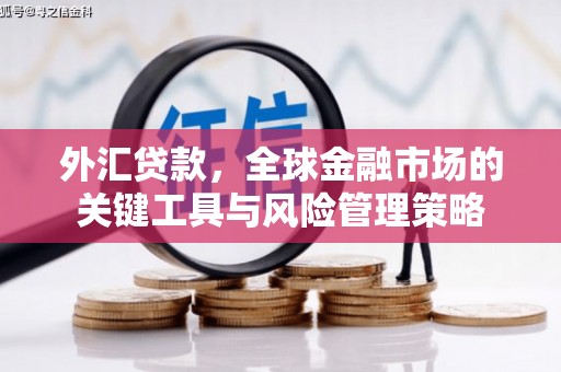 江海外汇贷款，全球金融市场的关键工具与风险管理策略