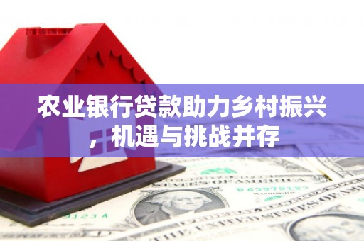 江海农业银行贷款助力乡村振兴，机遇与挑战并存