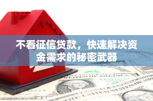 江海不看征信贷款，快速解决资金需求的秘密武器