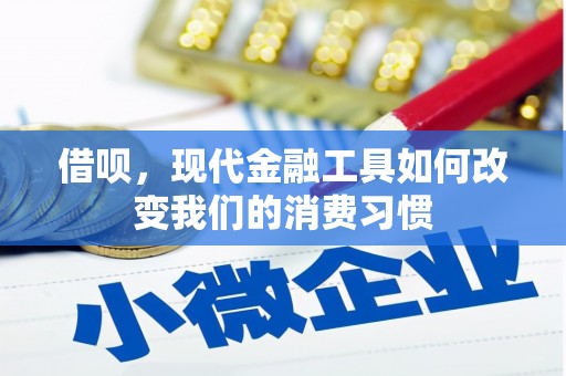 江海借呗，现代金融工具如何改变我们的消费习惯